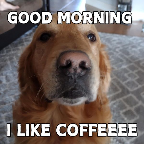 good morning coffee meme