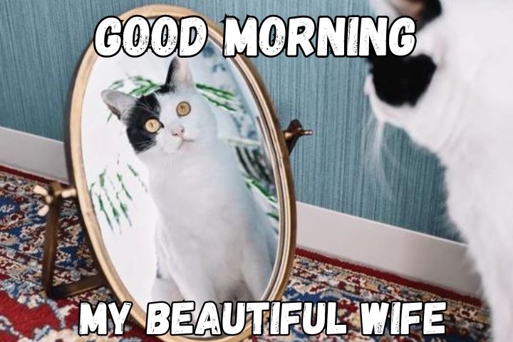 good morning memes for her