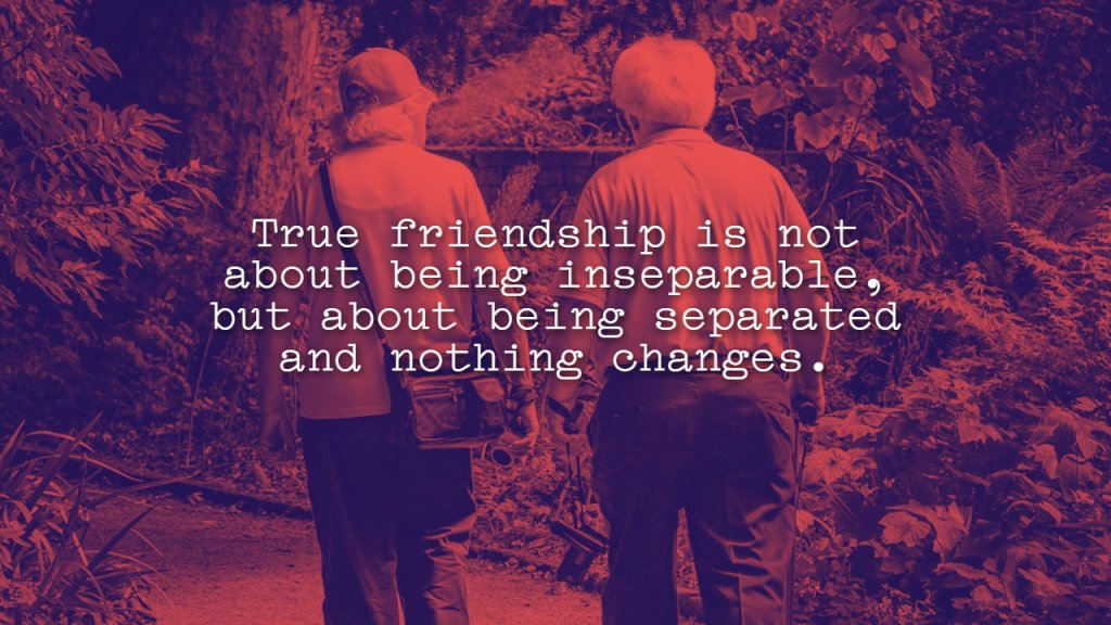 appreciation_meaningful_friendship_quotes