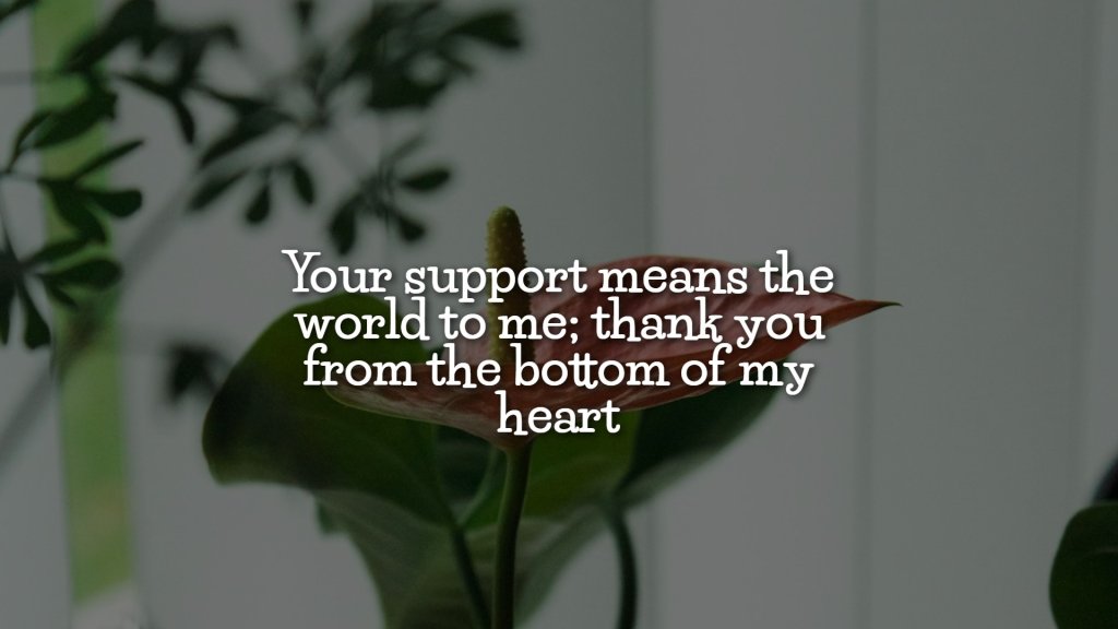 appreciation_thank_you_quotes