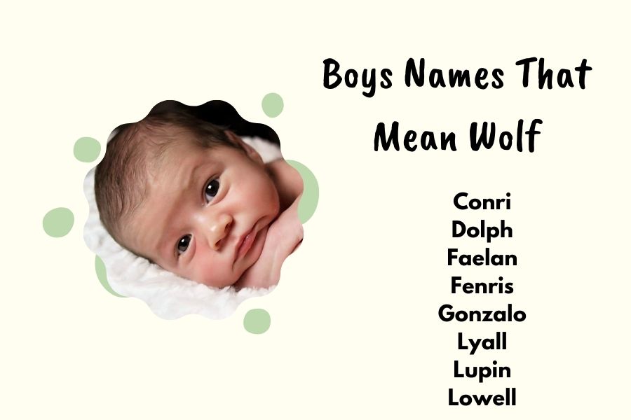 Unique Names That Mean Wolf For Boys And Girls_