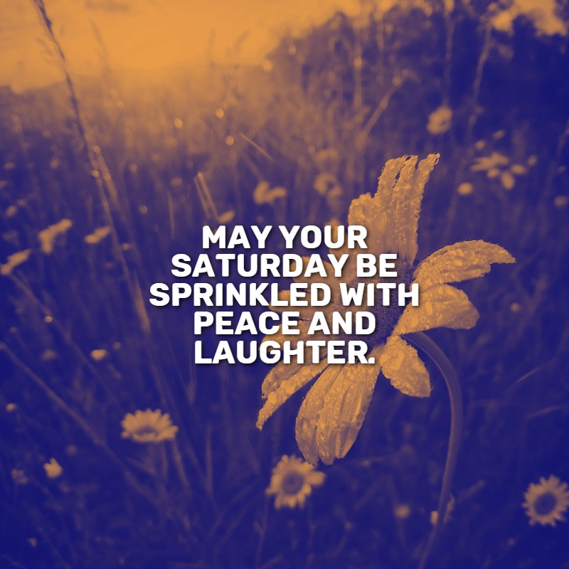 saturday_morning_quotes_