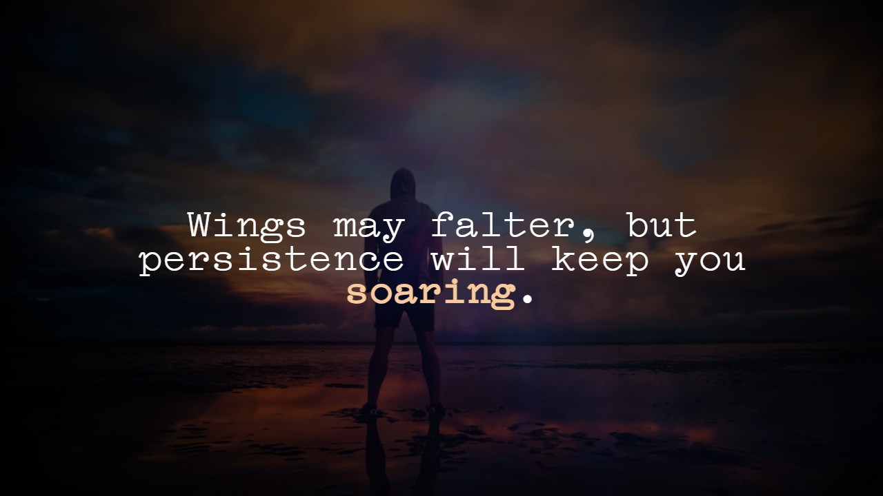 Fly High Quotes