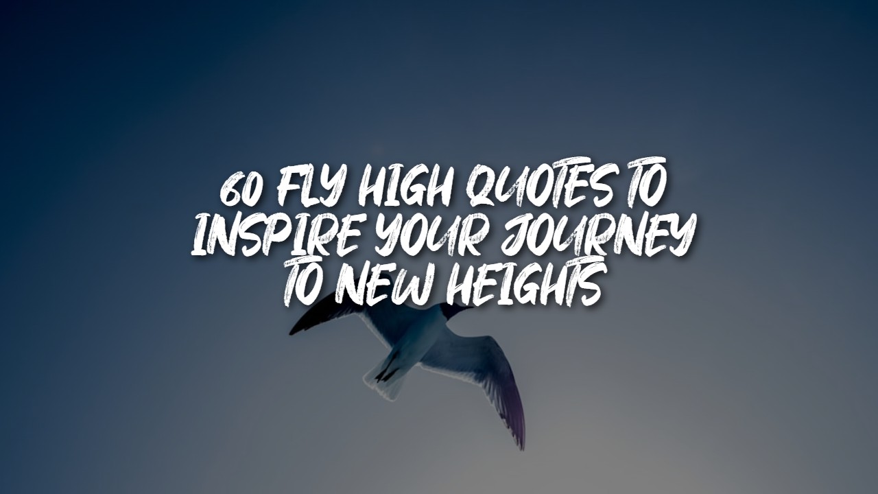 fly_high_quotes