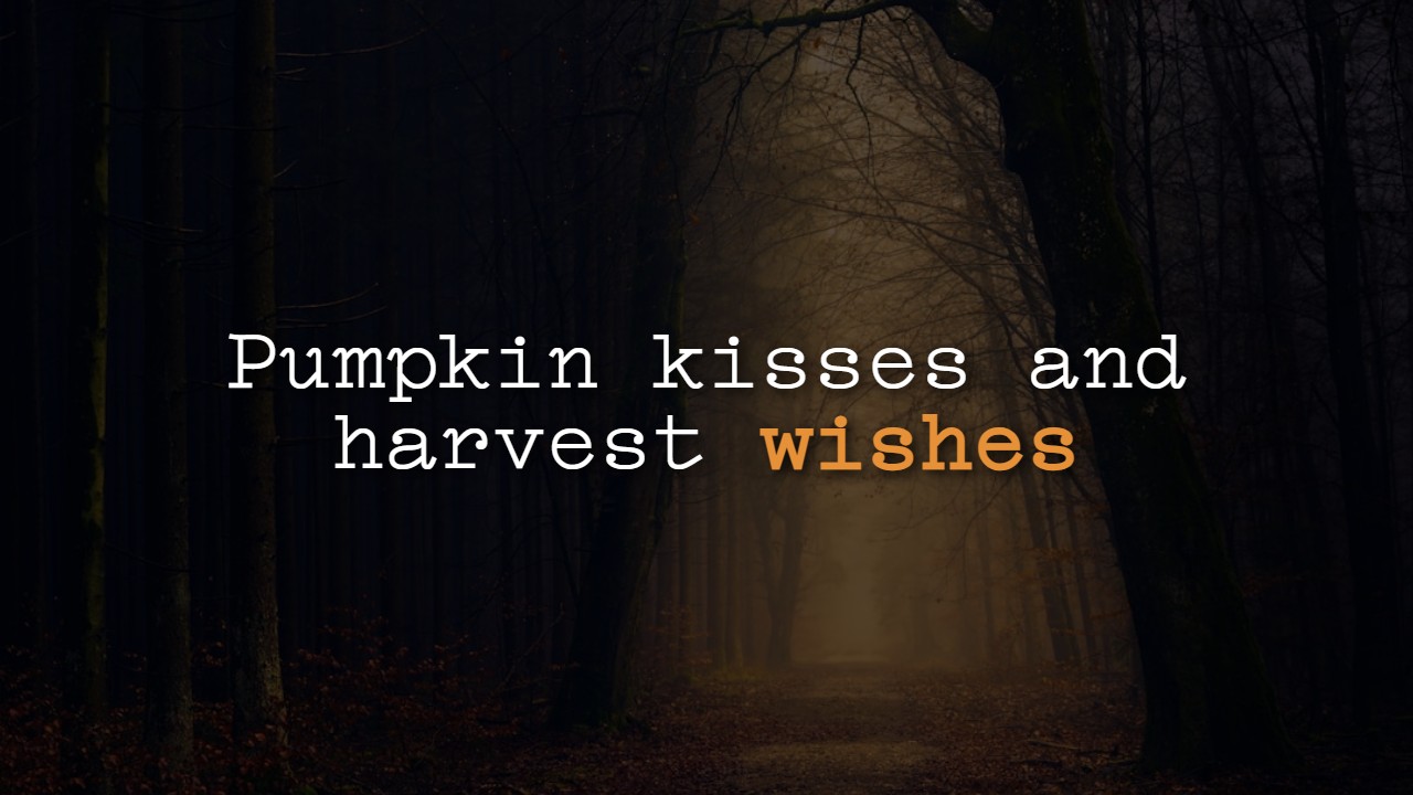 Funny Fall Sayings for Signs