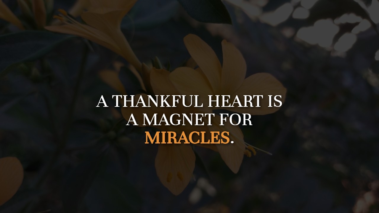 Thankful Thursday Quotes