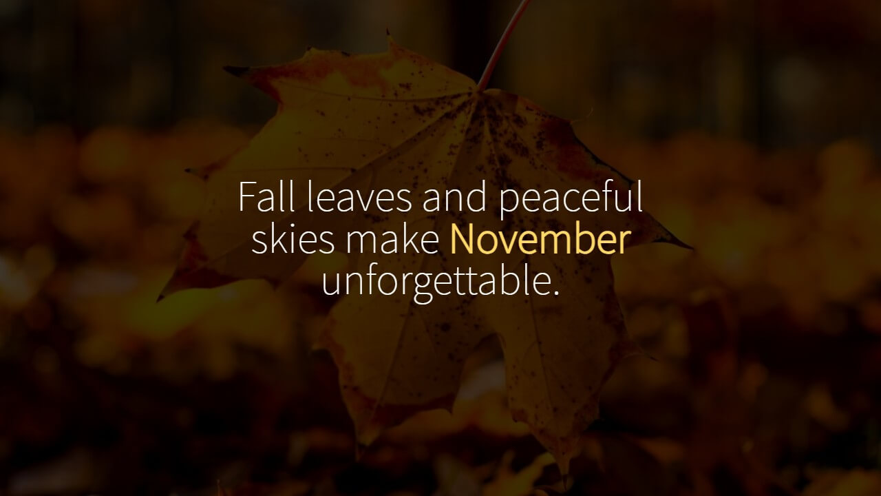 Happy November Quotes