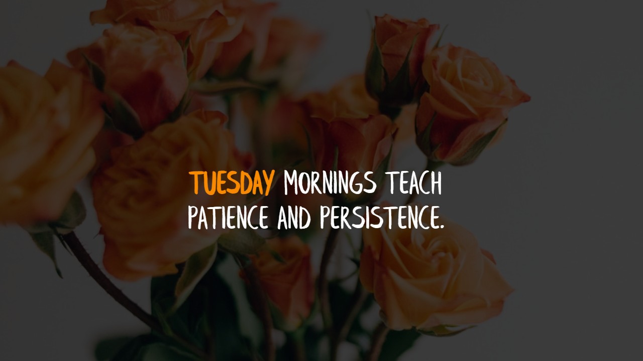 Tuesday Morning Quotes