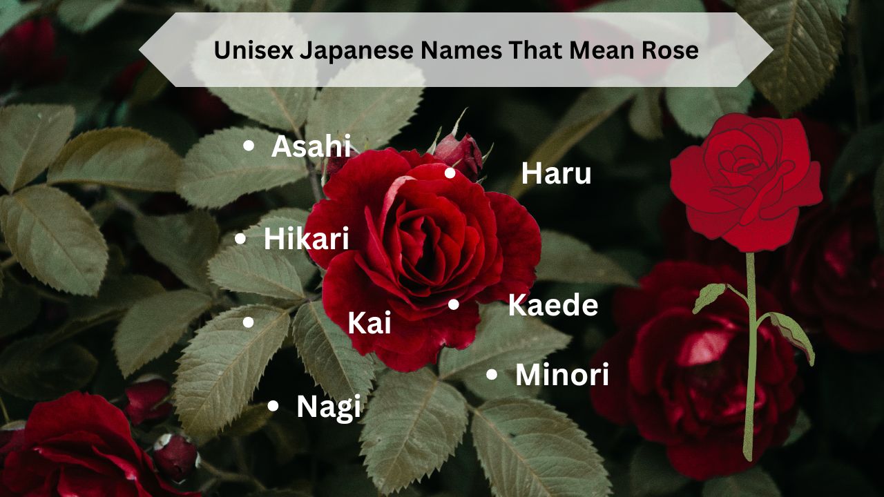 Unisex Japanese Names That Mean Rose