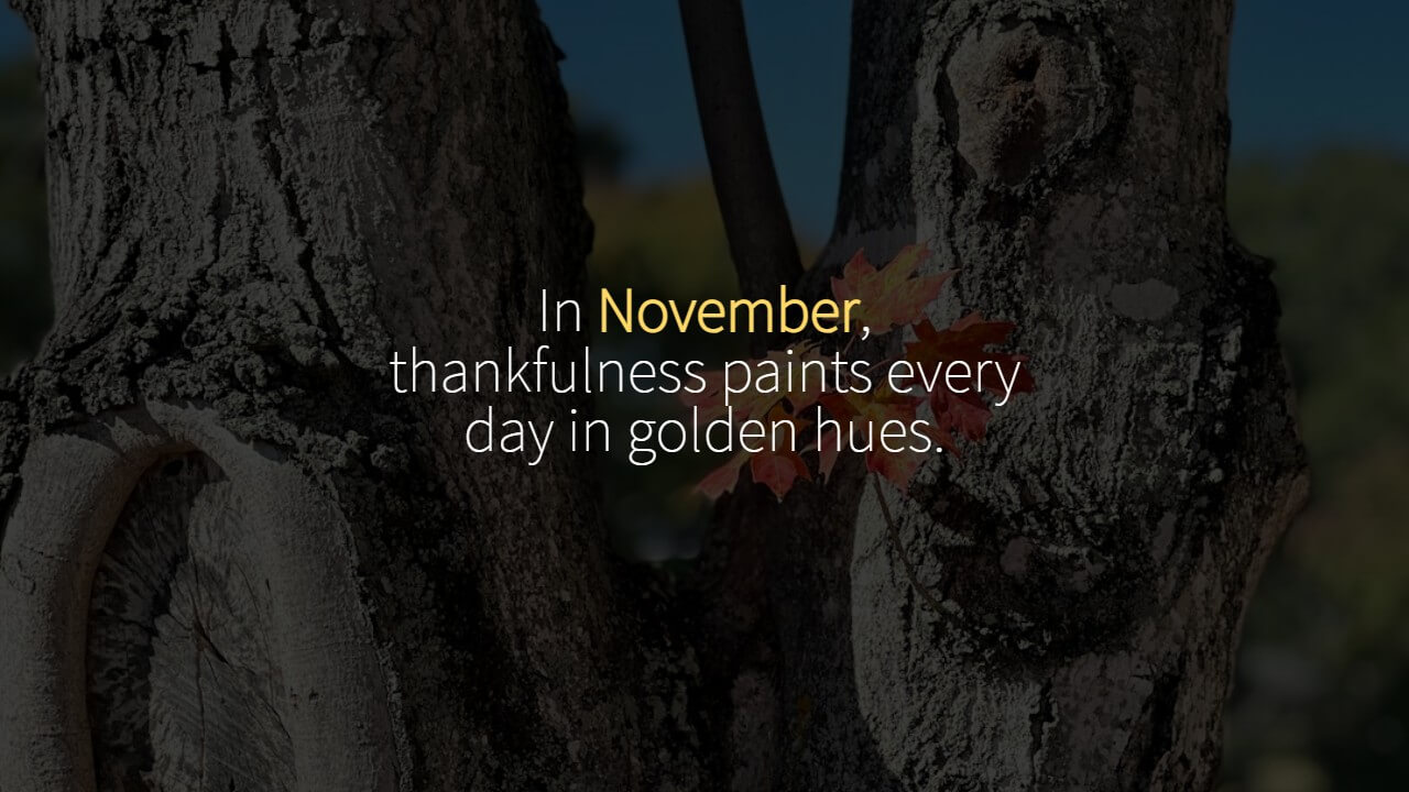 Thankful November Quotes