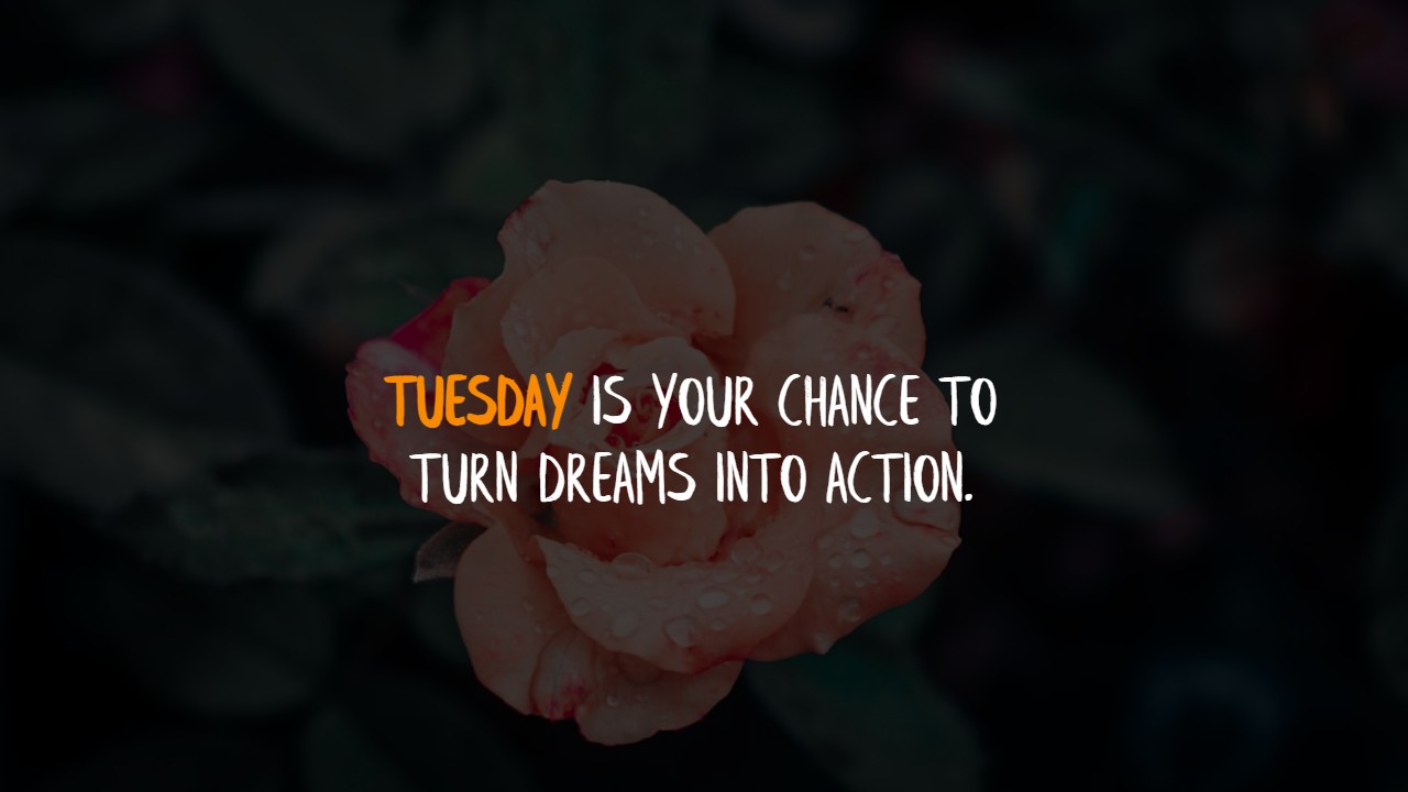 Tuesday Inspirational Quotes