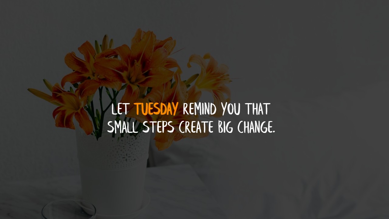 Tuesday Morning Quotes