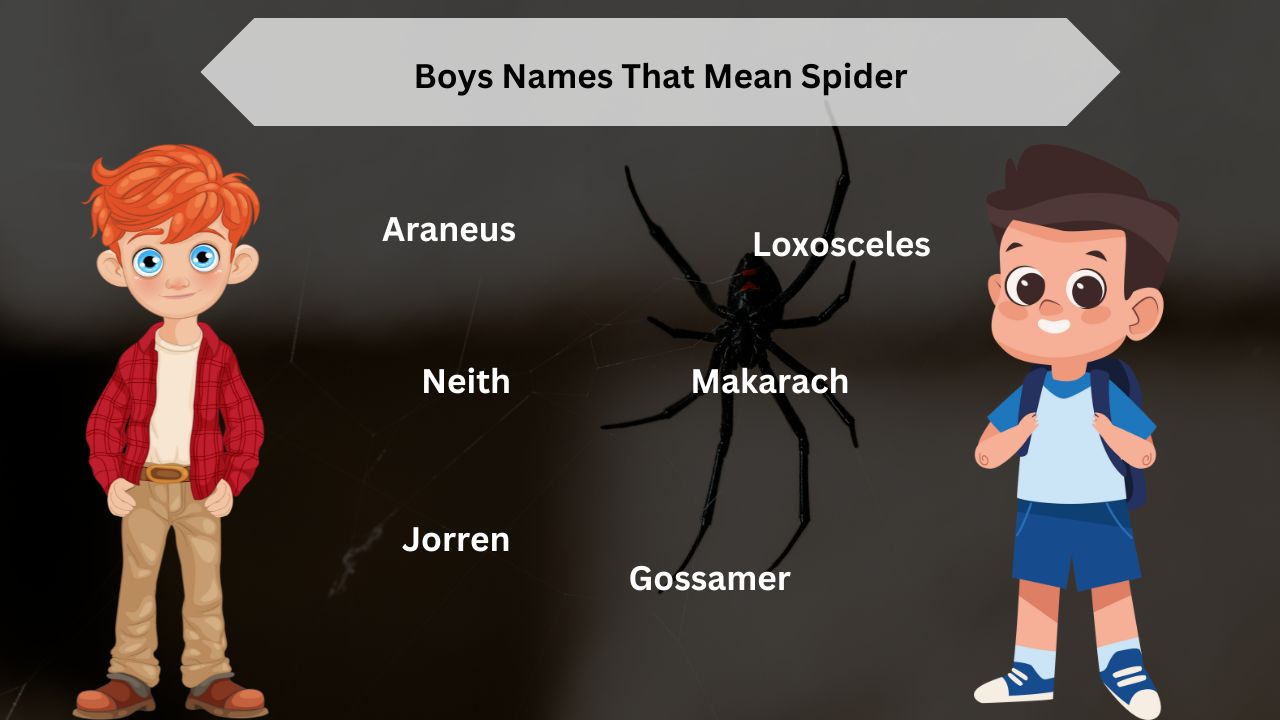 Boys Names That Mean Spider