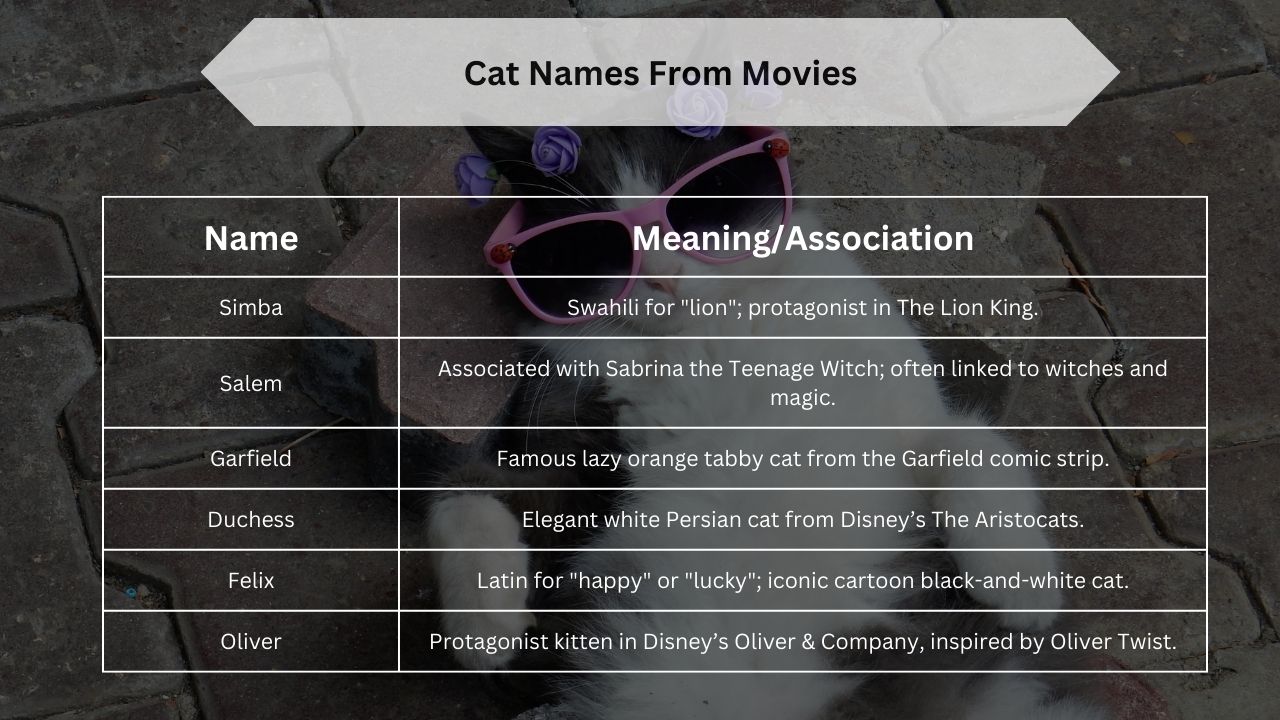 Cat Names From Movies