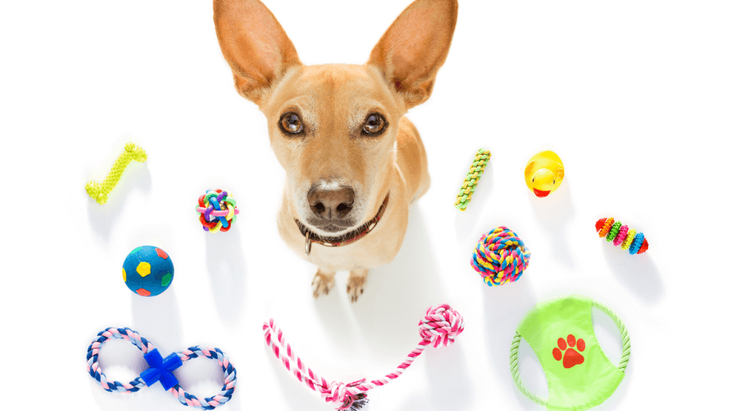 Dog Supplies for Every Pet Parent