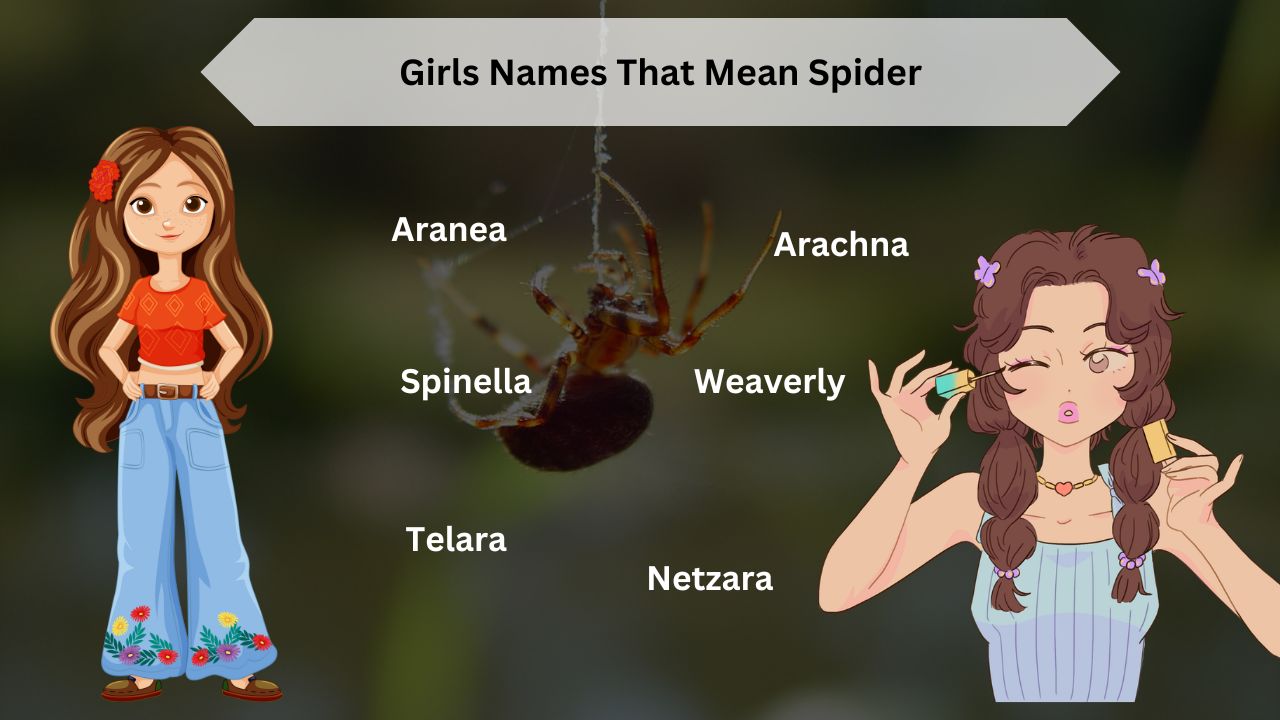 Girls Names That Mean Spider