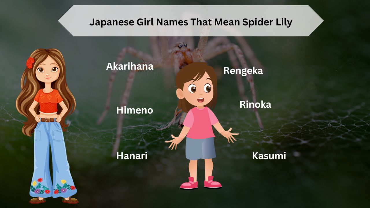 Japanese Girl Names That Mean Spider Lily