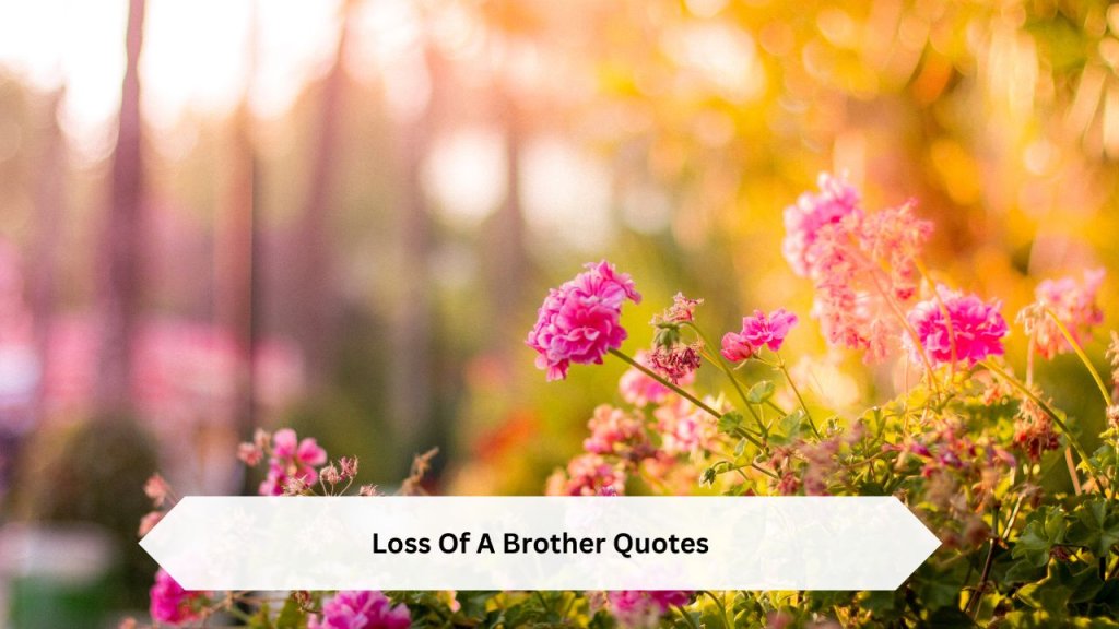 Loss Of A Brother Quotes