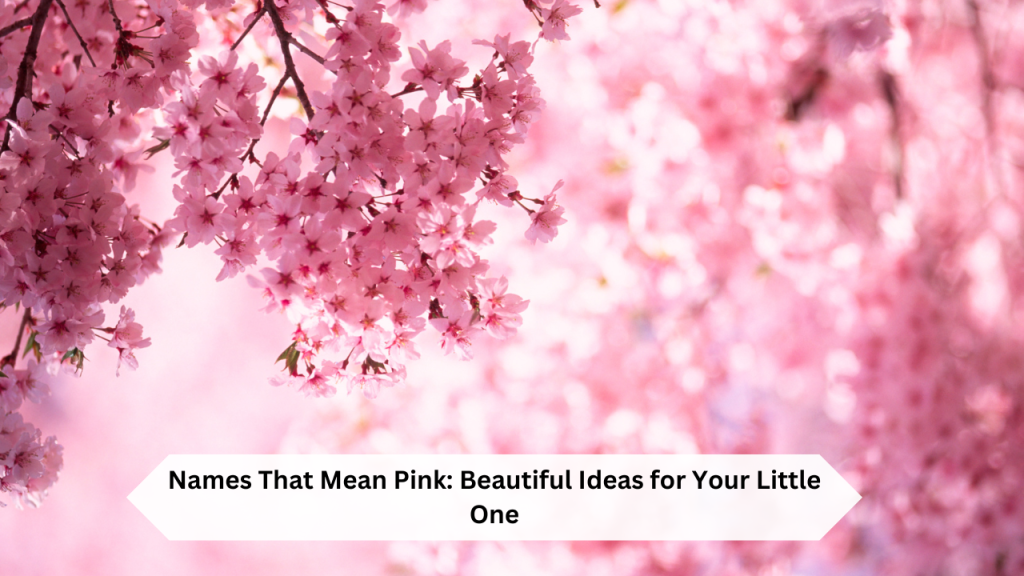 Names That Mean Pink: Beautiful Ideas for Your Little One