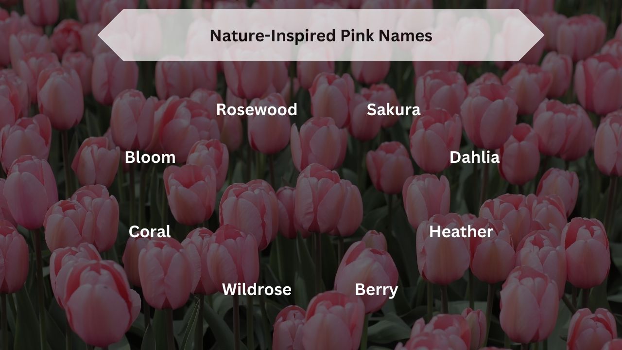 Nature-Inspired Pink Names