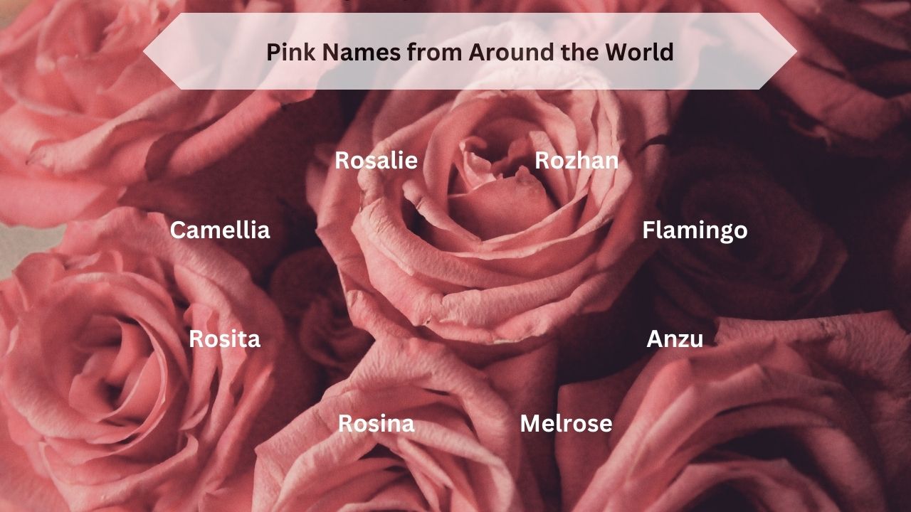 Pink Names from Around the World