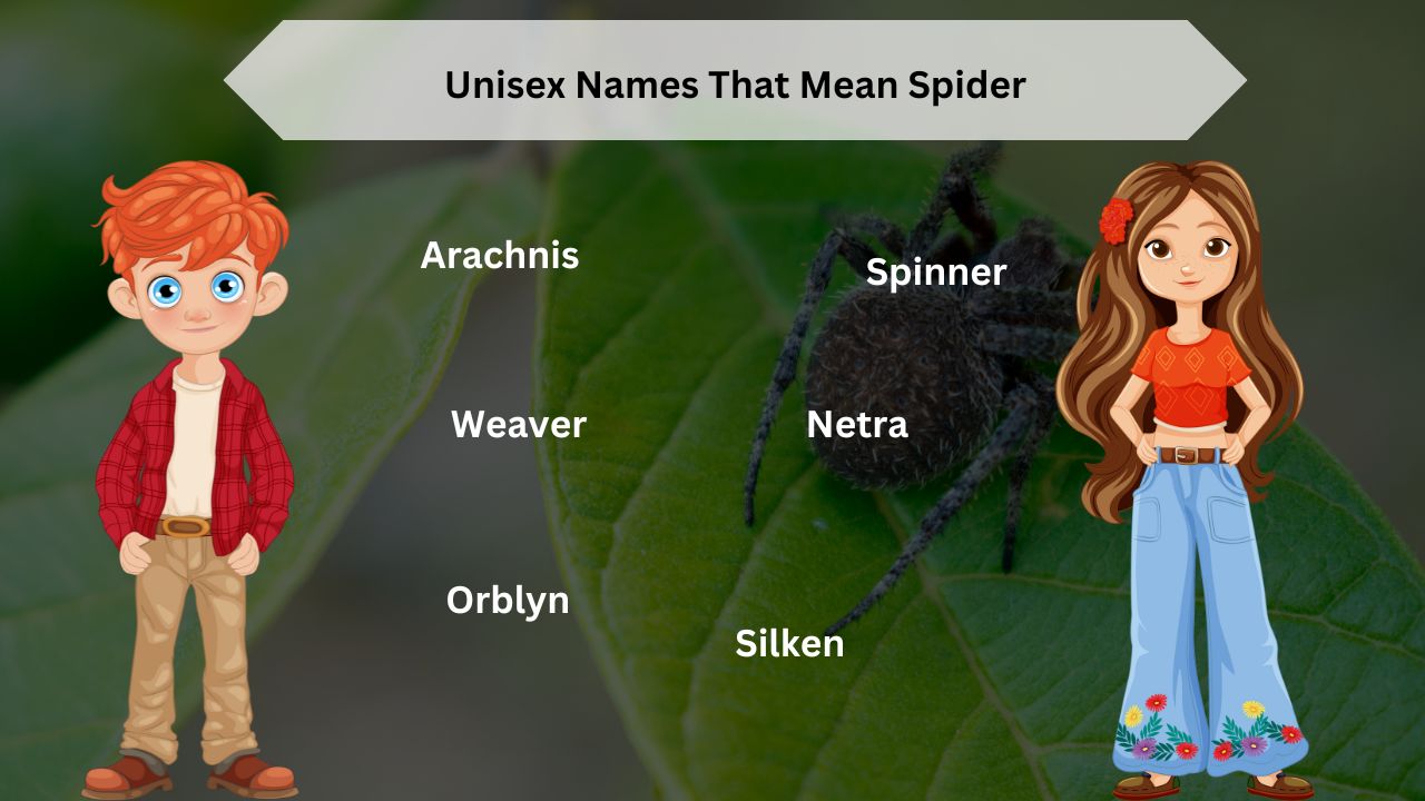 Unisex Names That Mean Spider