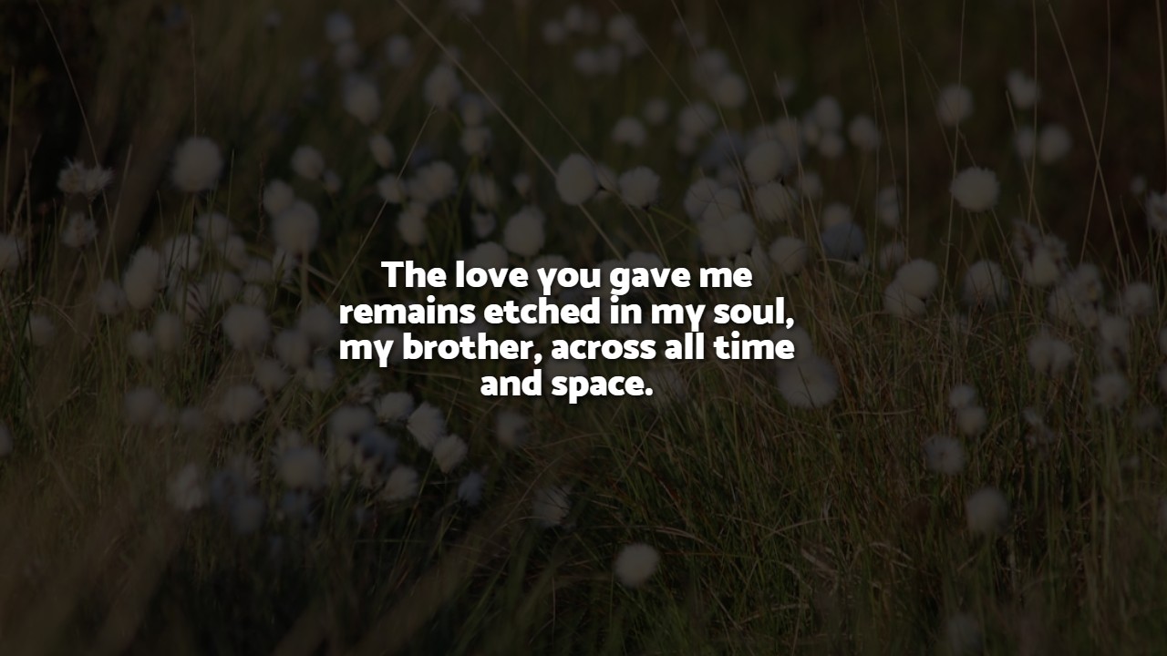 Brother In Heaven Quotes