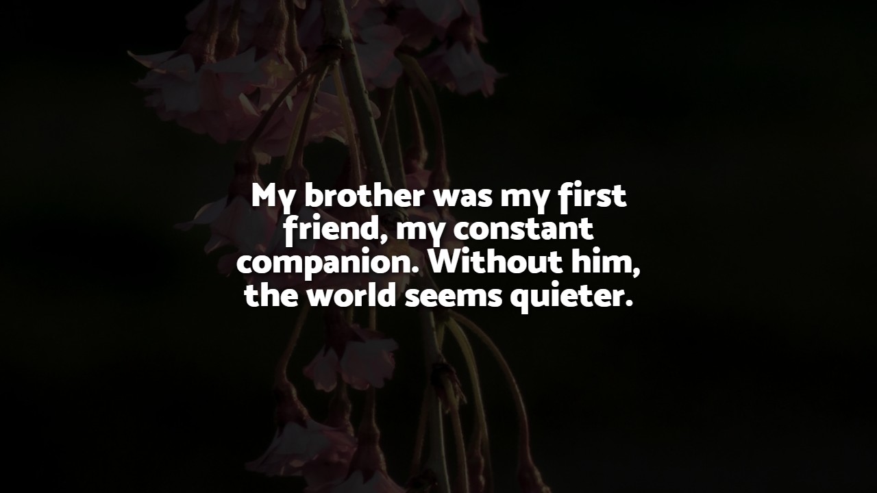 Emotional I Miss Brother Quotes