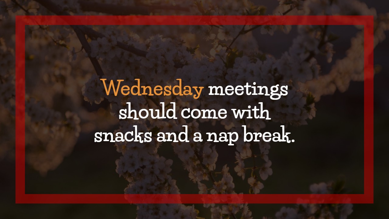 Funny Wednesday Quotes for Work