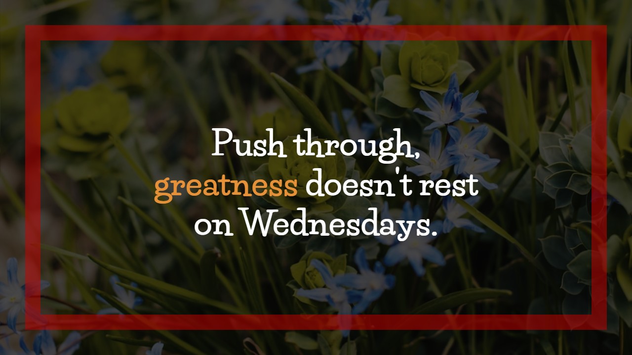 Hump Day Wednesday Quotes