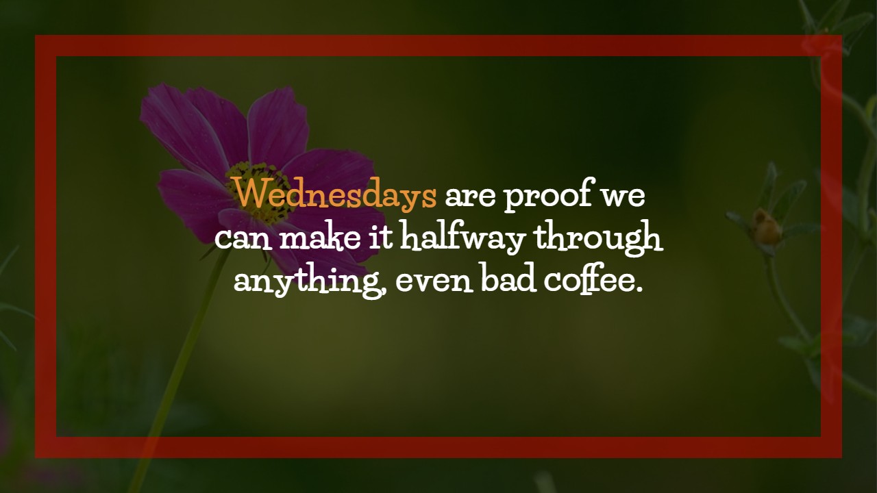 Positive Funny Wednesday Quotes