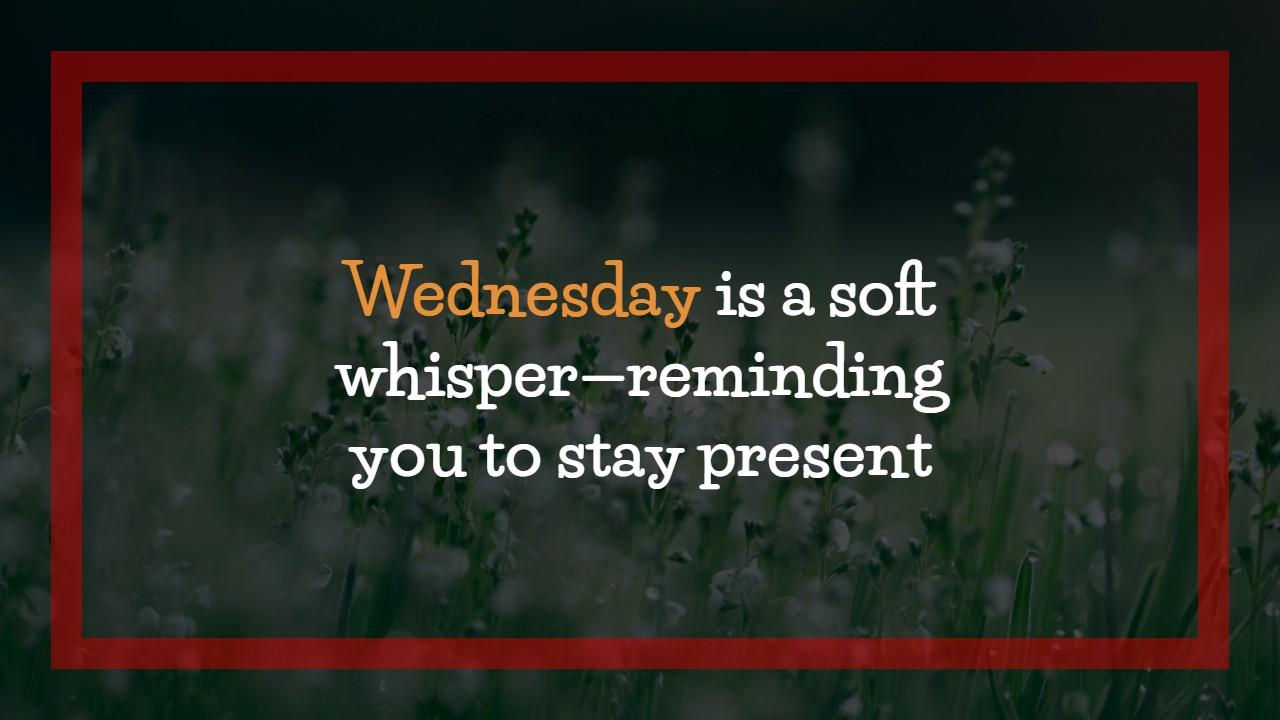 Wednesday Morning Quotes