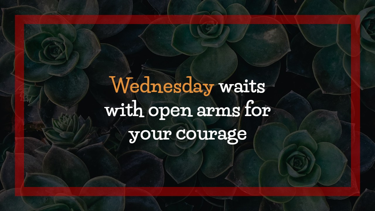 Wednesday Sayings