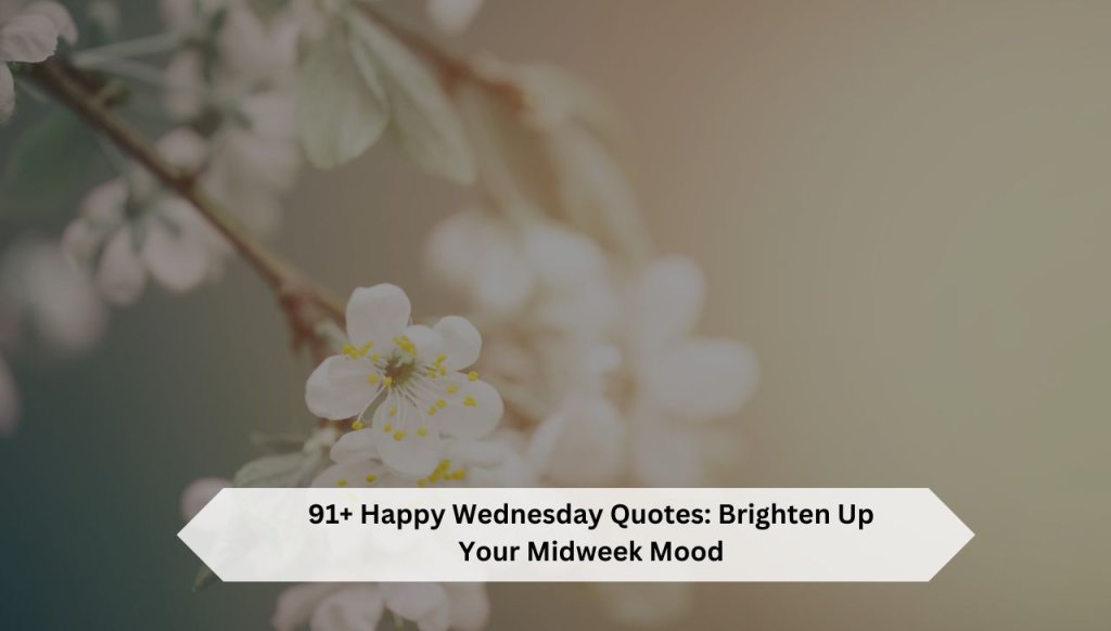 Happy-Wednesday-Quotes