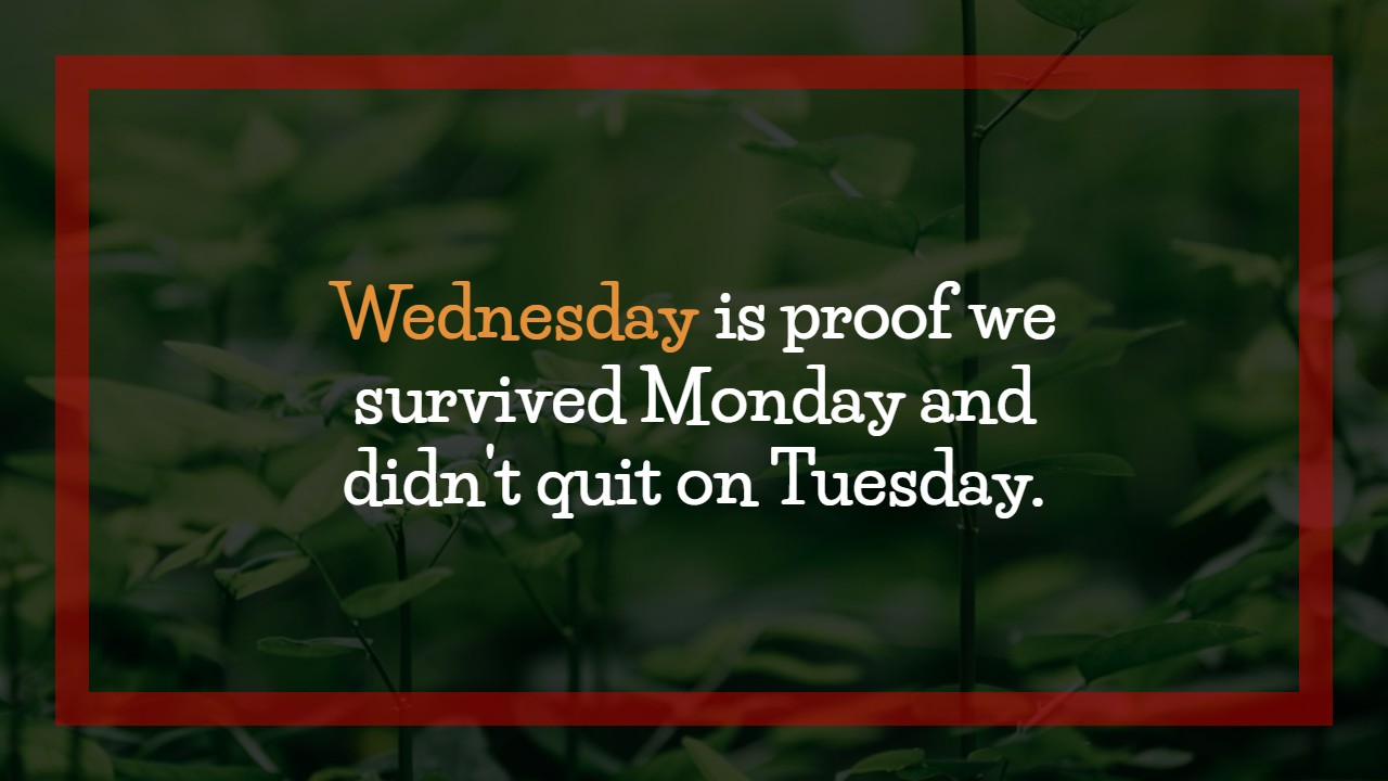 Funny Wednesday Quotes for Work