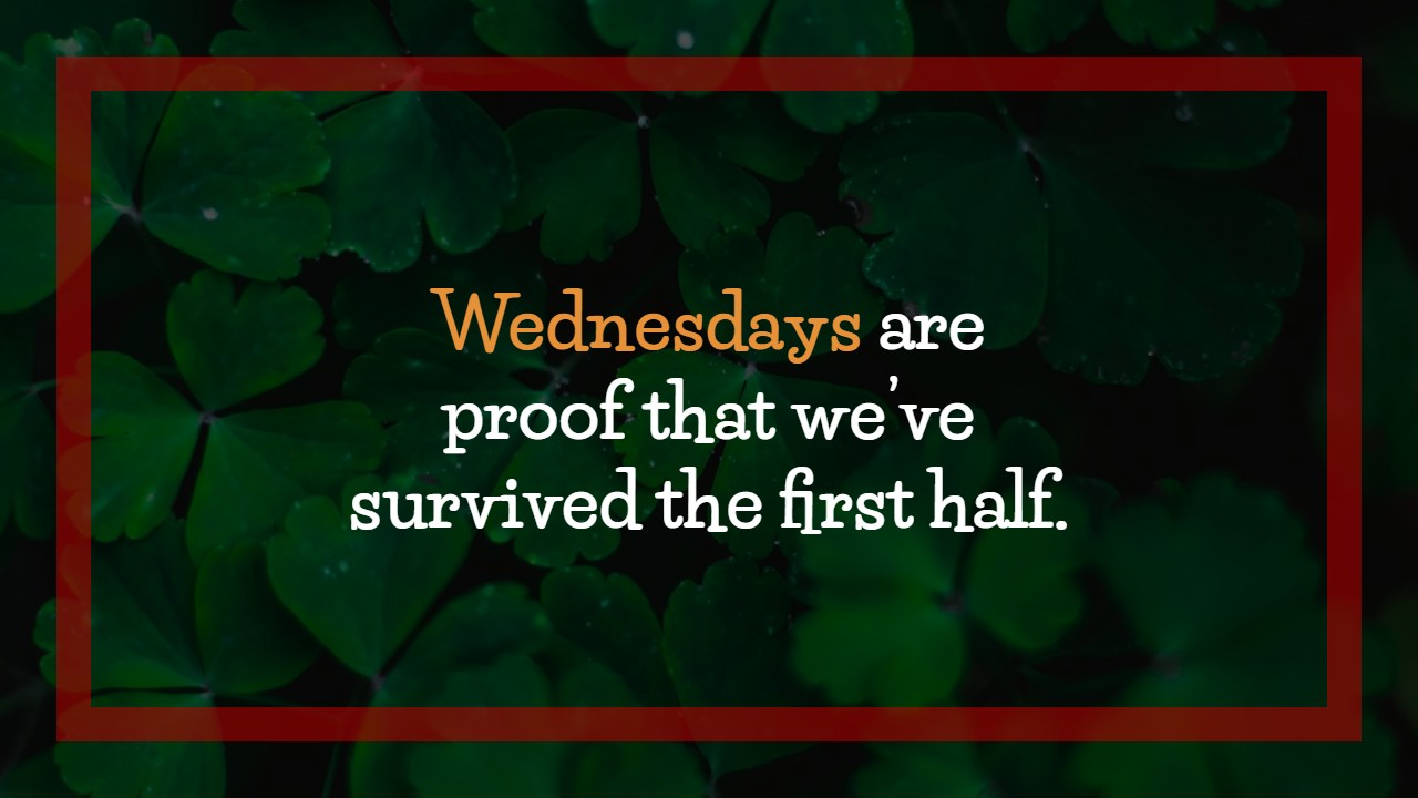 Hump Day Wednesday Quotes