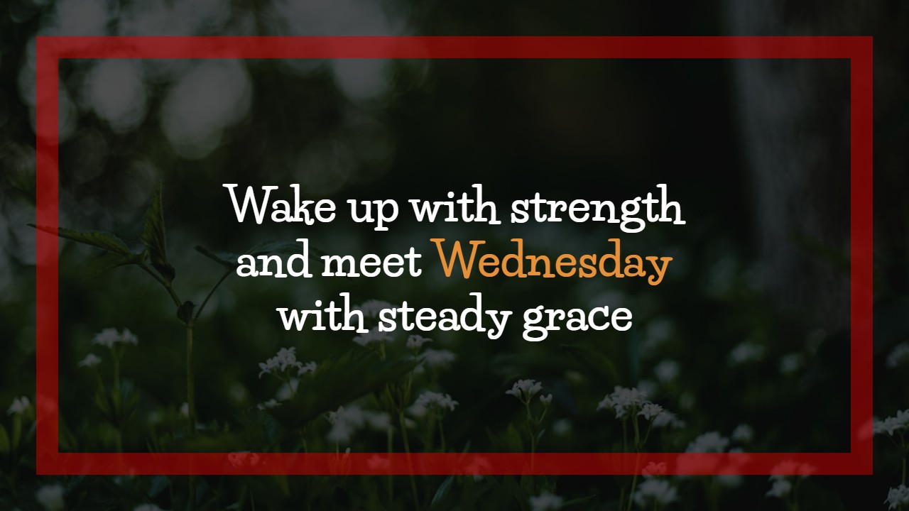 Wednesday Morning Quotes
