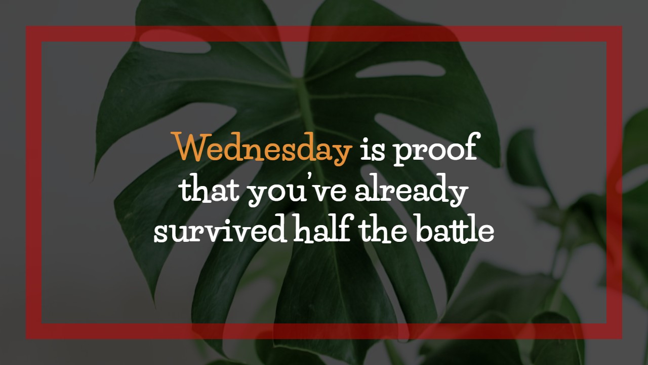 Wednesday Motivational Quotes for Work