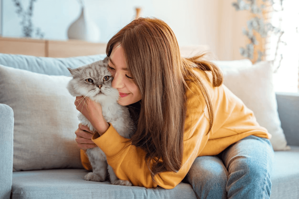 Is Pet Insurance Worth It? What Every Cat Owner Should Know